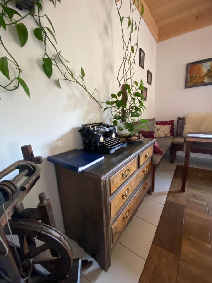 Agroturystyka Sarni Stok กรินีซา ดรอยจ์ ภายนอก รูปภาพ